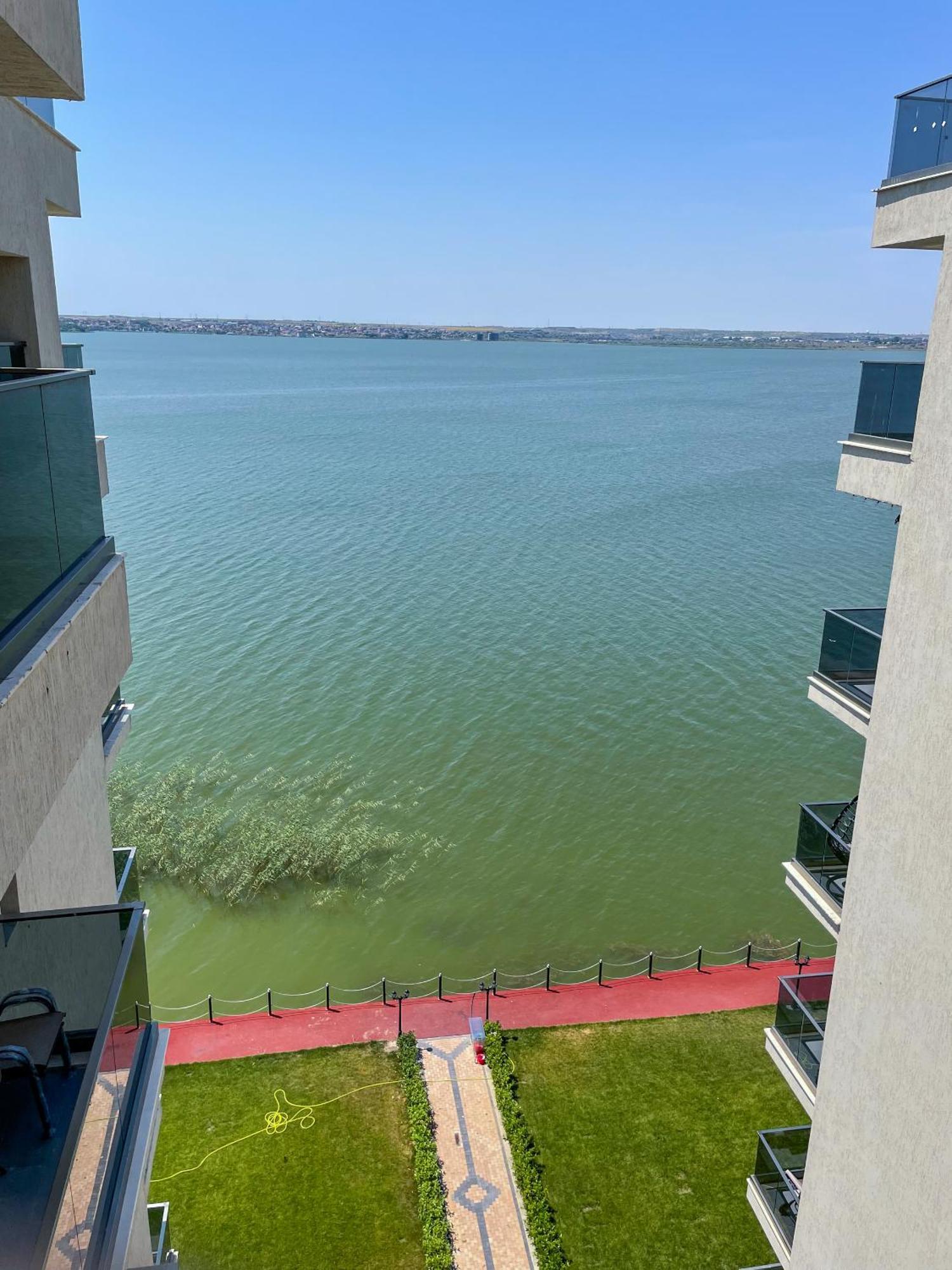 Azure Sea Apartments - Bychoice Mamaia Værelse billede